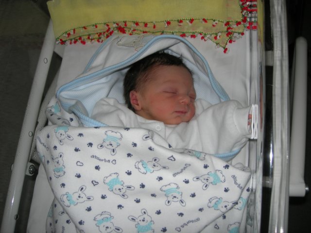 dscn2011.jpg