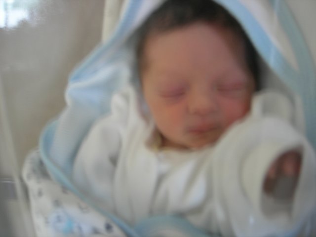 dscn2022.jpg