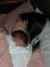 dscn2086_small.jpg